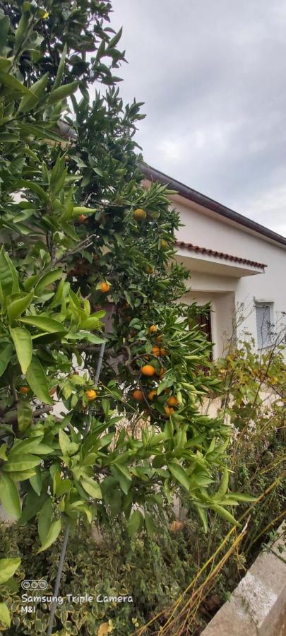 Vecchia Oliva,Kuljica Βίλα Kukljica Εξωτερικό φωτογραφία