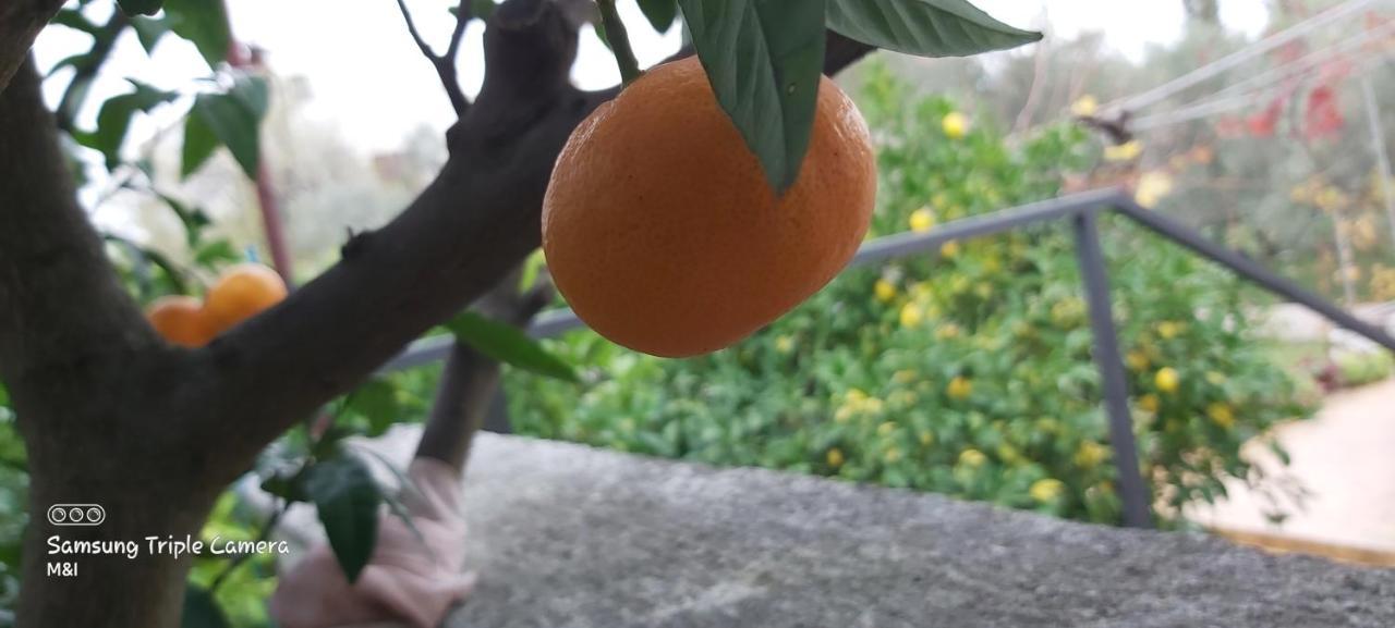 Vecchia Oliva,Kuljica Βίλα Kukljica Εξωτερικό φωτογραφία